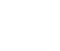 Vector